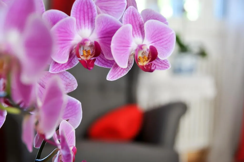 Bed & Breakfast B&B Al Parco Giardini Margherita Bologna